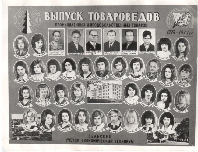 3Т-3